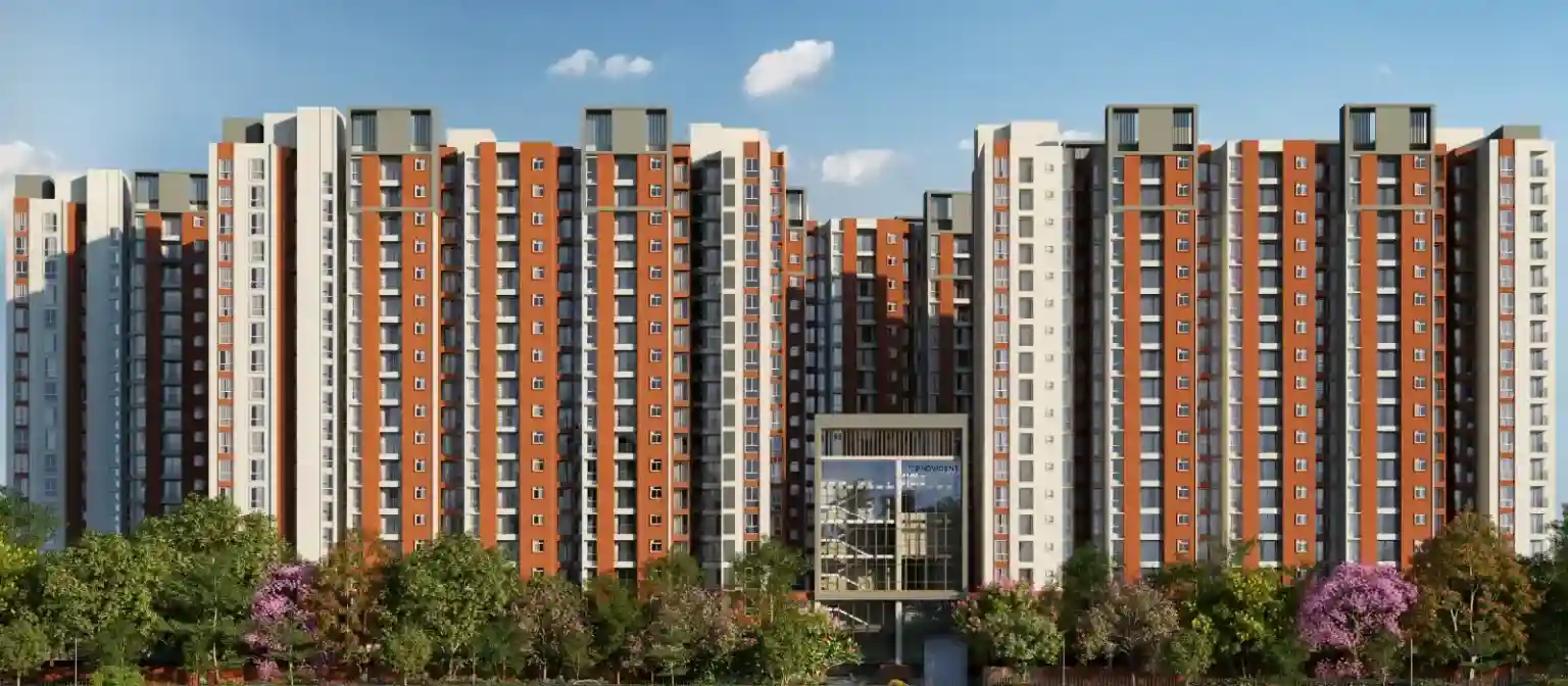 Provident Bayscape
